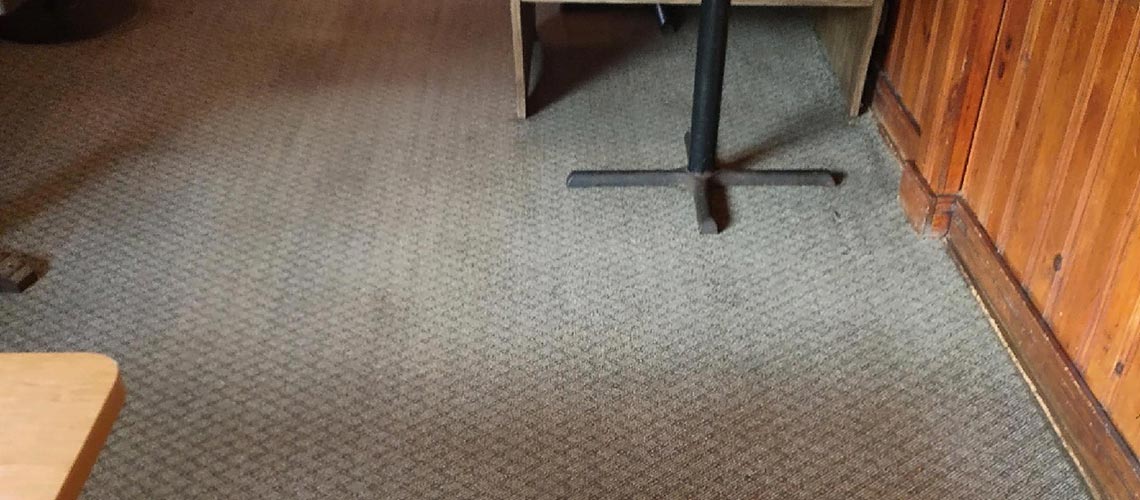 Banquet hall Carpet cleaning in Stroudsburg, PA by Pro Care Carpet Cleaning